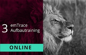emTrace®-Aufbautraining (Level 3) - Emotionscoaching auf Identitätsebene